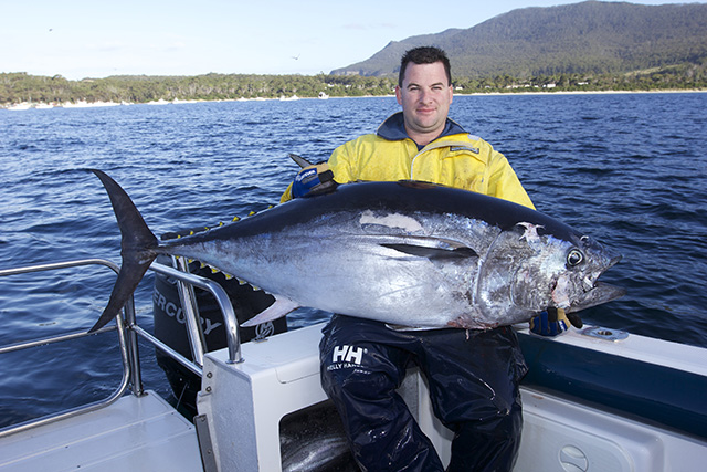 ANGLER: Brad Dennet SPECIES: Southern Bluefin Tuna WEIGHT: 90 kgs LURE: JB Lures, Micro Dingo